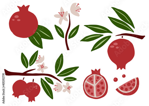 Pomegranate set. Exotic tropical red fresh fruit, whole juicy pomegranates with green leaves and flowers, slice and seeds, vector cartoon minimalistic style isolated illustration