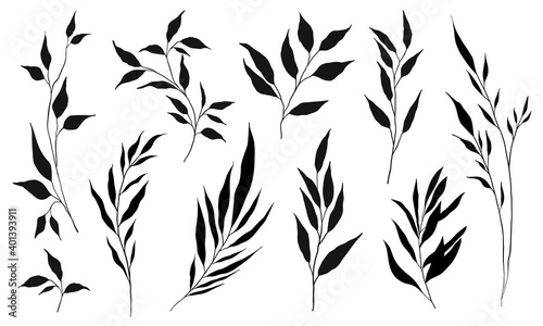 Set of silhouette branches with leaf and stem in modern style. Vector leaves isolated on white background. Hand drawn decorative botanical elements.
