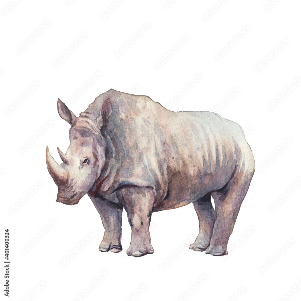 Fototapeta premium Rhinoceros illustration. Watercolor rhino animal isolated on white background. Safari fauna collection