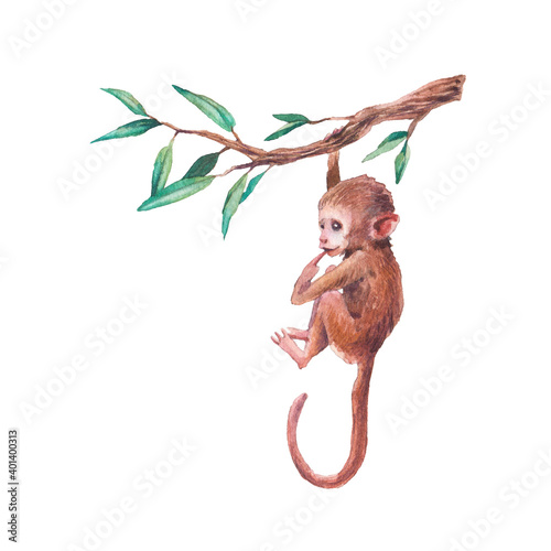 Tela Watercolor baby chimp illustration