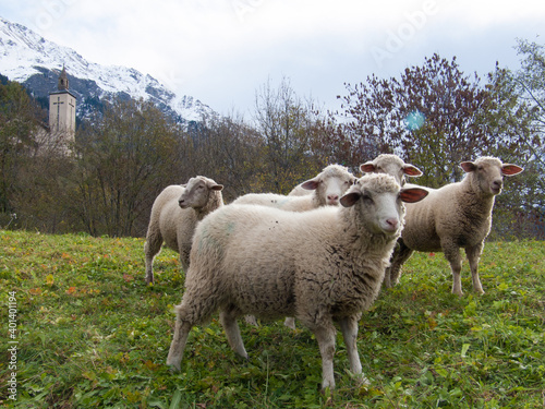 Val de Bagnes, Valais, Switzerland photo