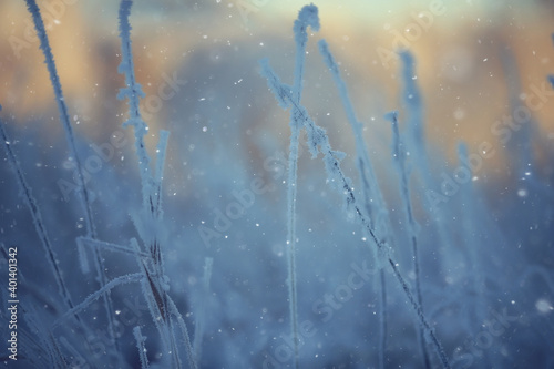 branches covered with hoarfrost background, abstract landscape snow winter nature frost