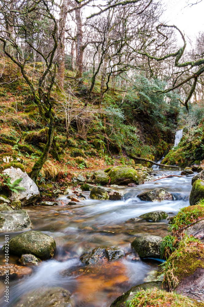 Steam of water long shoot in forest of Glendalough at sunset during winter and autumn with lots of trees, moss and stones on foreground. Concepts: season, outdoors, travelling, landscape Steam of water long shoot in forest of Glendalough at sunset during winter and autumn with lots of trees, moss and stones on foreground. Concepts: season, outdoors, travelling, landscape