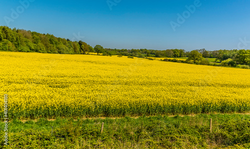 English countryside with vibrant yellow rapeseed and lush green trees flash by from the Bluebell railway in Sussex, UK
