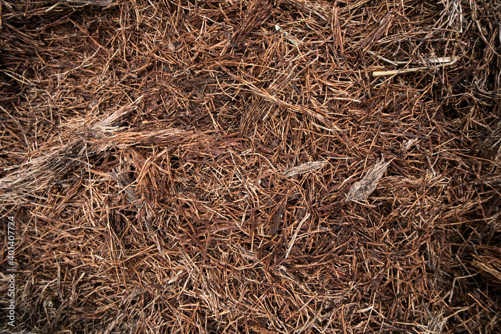 Organic material to make fertilizer at home farm Organic material to make fertilizer at home farm