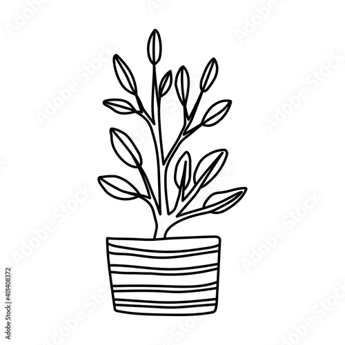 Hand drawn houseplants. Vector illustration of potted plants for home isolated on white background