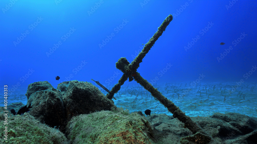 Naklejka premium Anchor underwater
