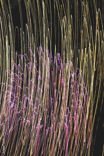 Rays of abstract lights on a black background, with different colors and thicknesses, as well as effects of movement, vibration and transformation. photo