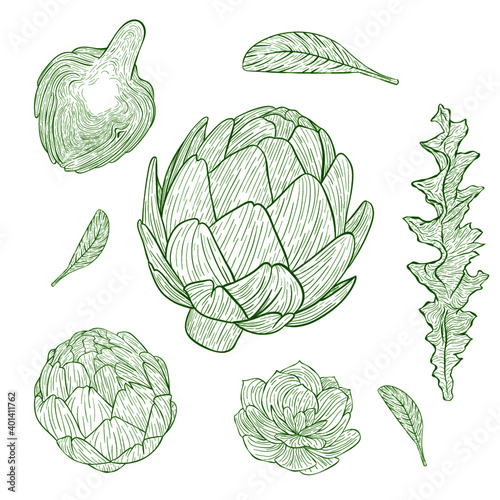 artichoke , plant and leaves