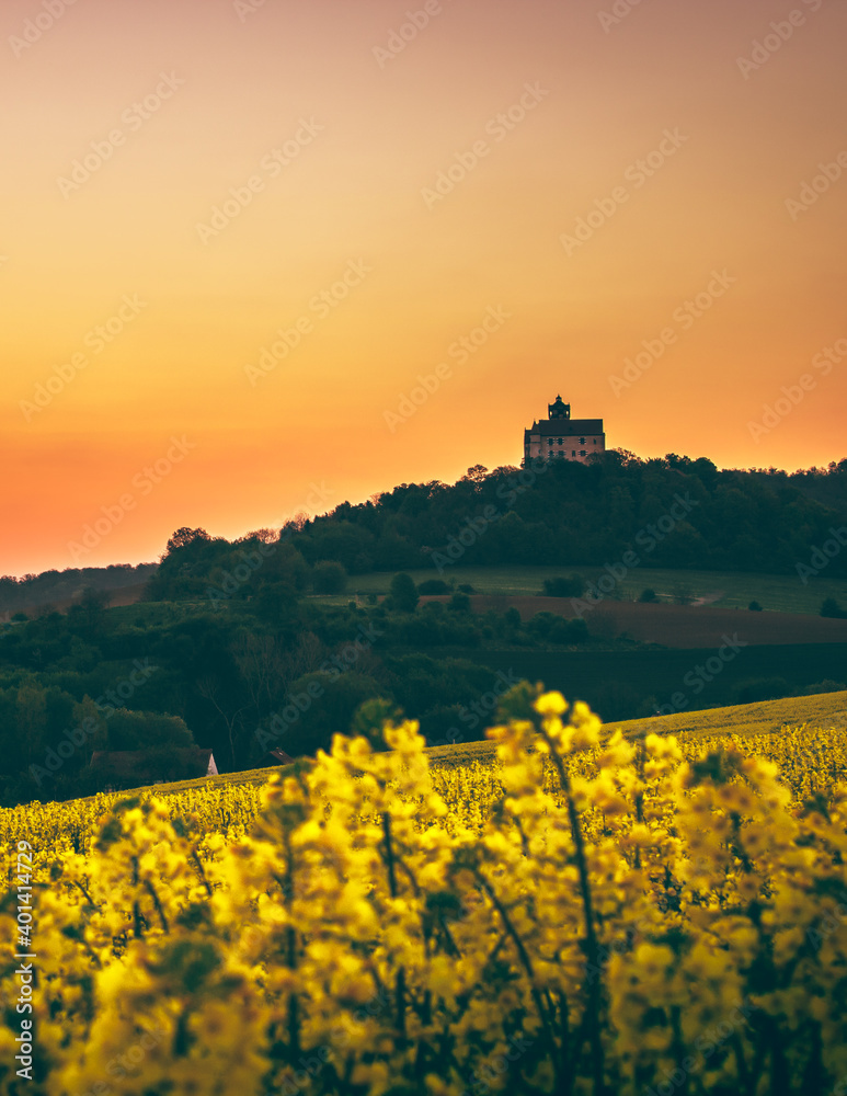Germany, castle in a landscape with fields, mountains and nature. Beautiful yellow fields with rapeseed and meadow. Sunset in a landscape