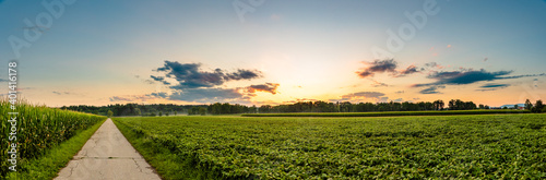 Panorama, sunset over fields in Austria with dramatic sunset sky and road leading to woods. Agriculture landscape. © Przemyslaw Iciak