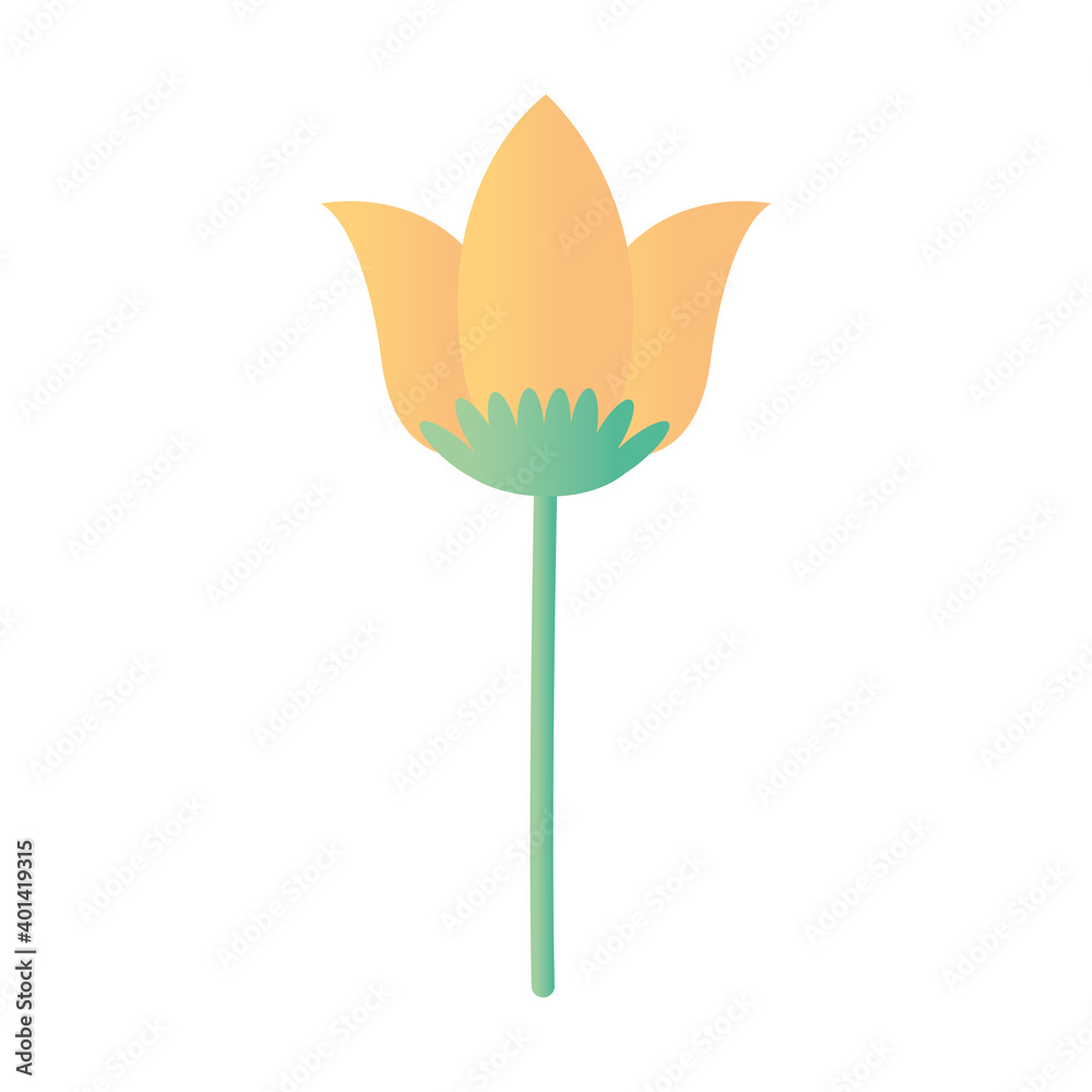 tulip with a green and yellow color on the top tulip with a green and yellow color on the top