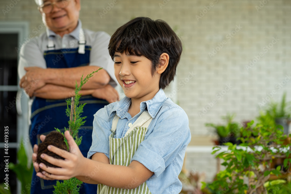 Obraz premium Asian teenage boy growing green plant in garden with his grandfather 