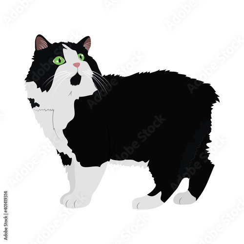 black and white cute cat icon, colorful design