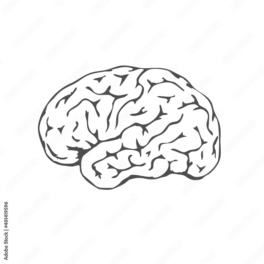 Black human brain isolated on white background. Human brain lateral view. Awareness mental health month. Symbol of intelligence and wisdom. Vector illustration. EPS10. Black human brain isolated on white background. Human brain lateral view. Awareness mental health month. Symbol of intelligence and wisdom. Vector illustration. EPS10.