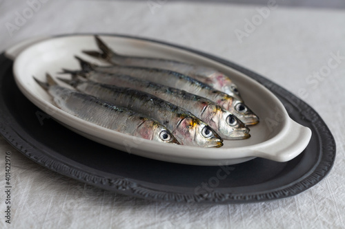 A close up of fresh, raw sardines on a white plate, horizontal on a white background. photo