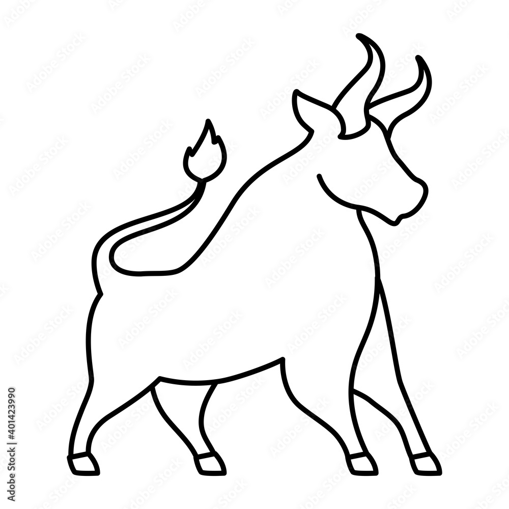 bull with a white background bull with a white background