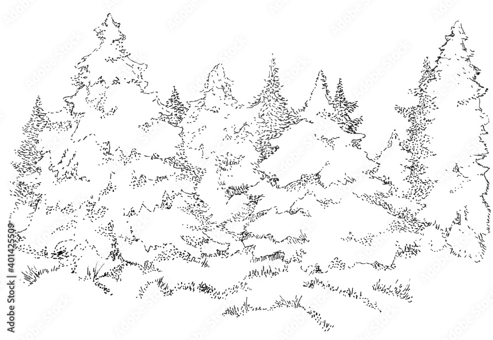 Ink painted pine forest. New Year is coming.