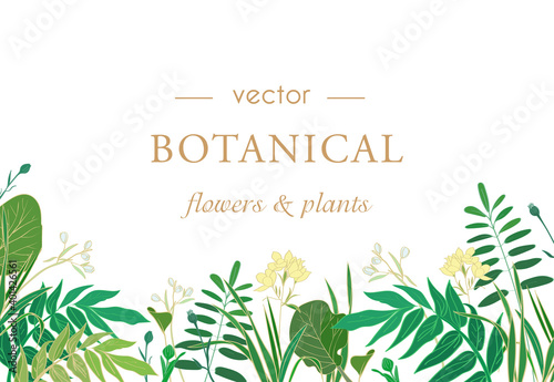 Beautiful postcard with vector flowers and plants