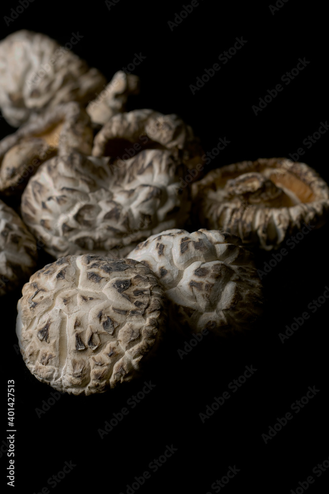 Shiitake Mushoom on a black background
Shiitake Mushoom on a black background
