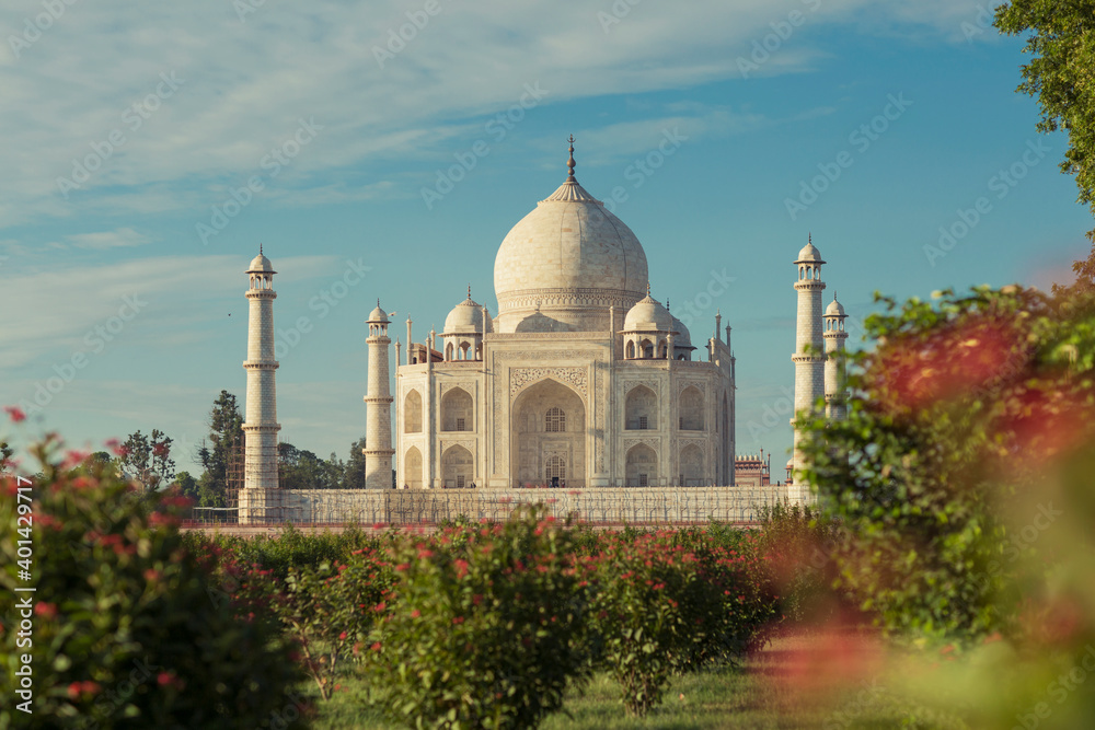 Obraz premium Taj Mahal Delhi at early morning, Agra, Delhi, India