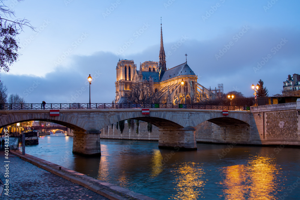 Fototapeta premium landscape with notre dame de paris and Seine river