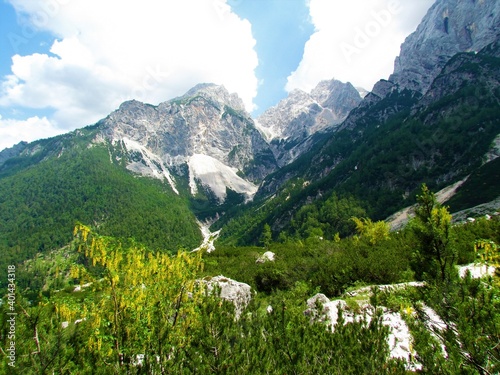 Fotografie View of alpine landscape with mountain Špik in the back from Krnica valley in Ju