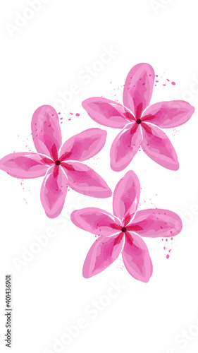 pink flowers