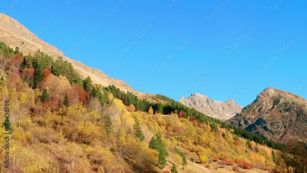 Autumn scenery in mountains of Russia. Mountains are covered with dry yellow grass and green trees. Blue sky is at background. Autumn scenery in mountains of Russia. Mountains are covered with dry yellow grass and green trees. Blue sky is at background.