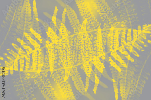 Pattern from fern leaves. Abstract natural geometrical symmetry decor art background. Toned trendy colors of 2021 year illuminating and ultimate gray