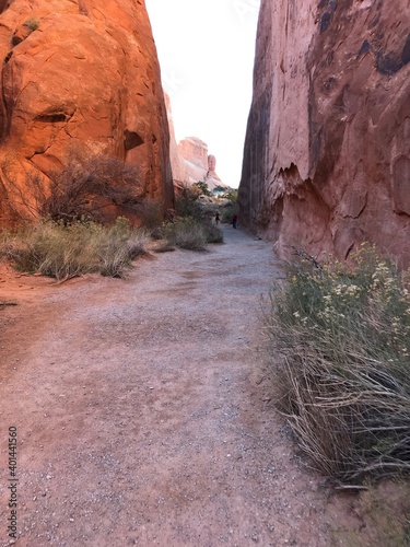 Arches National Park 1476img