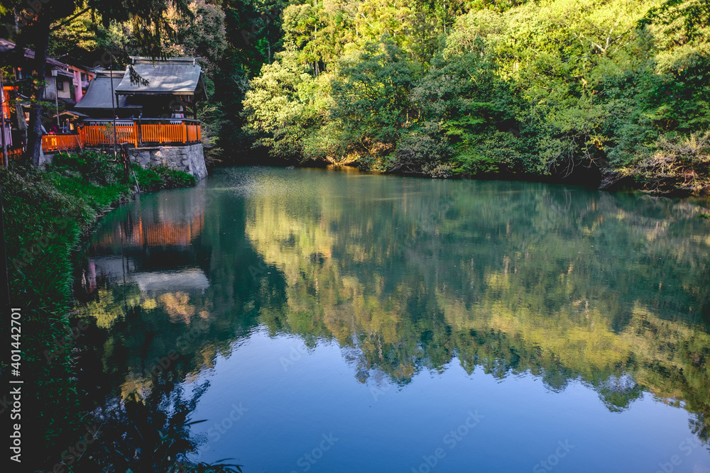 Reflection of trees in a pond at Fushimi Inari taisha shrine, Kyoto