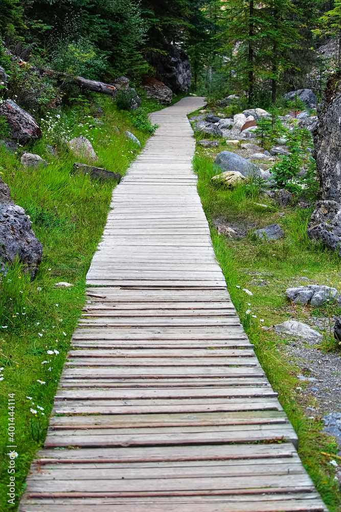 Fototapeta premium A straight wooden foot path on a hiking trail