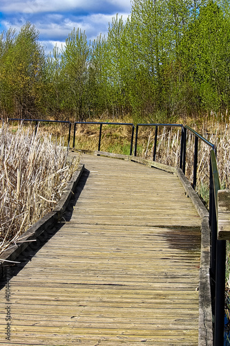 Fototapeta Naklejka Na Ścianę i Meble -  View of a wooden boardwalk through a marshy area