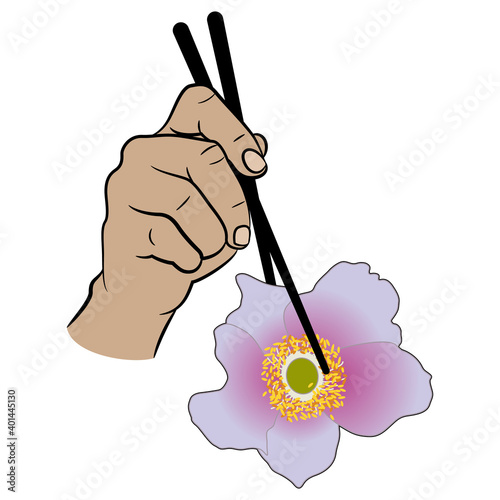 Human hand holding single anemone flower with chopsticks. Creative concept.
