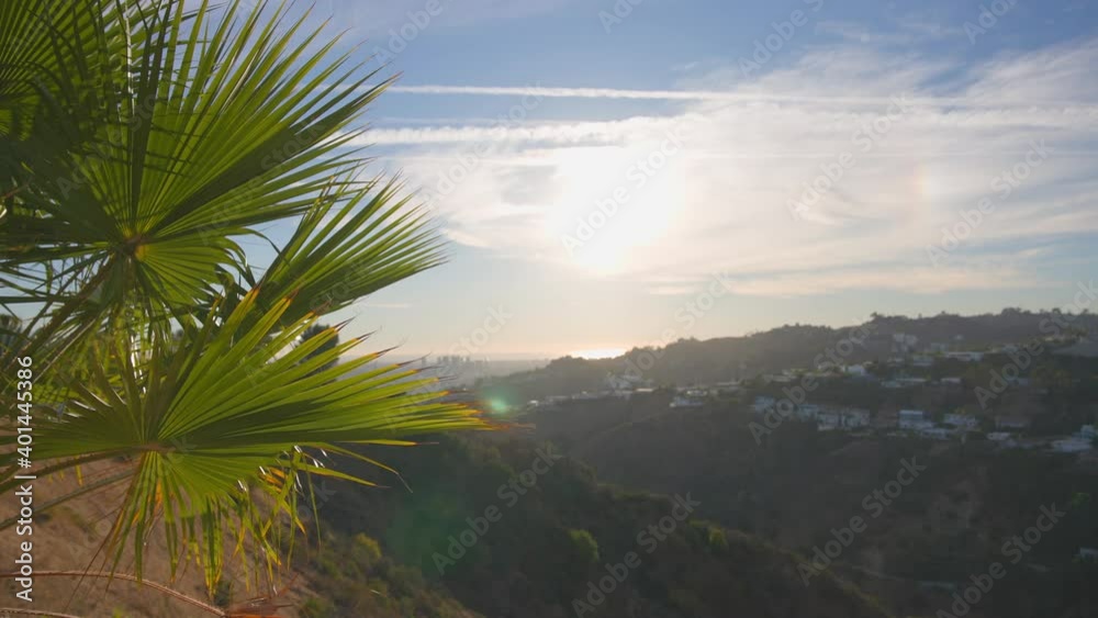 The leaves of a California palm tree sway in the wind against the blue sky. Bright sunny day. View of Los Angeles from Beverly Hills. The leaves of a California palm tree sway in the wind against the blue sky. Bright sunny day. View of Los Angeles from Beverly Hills.