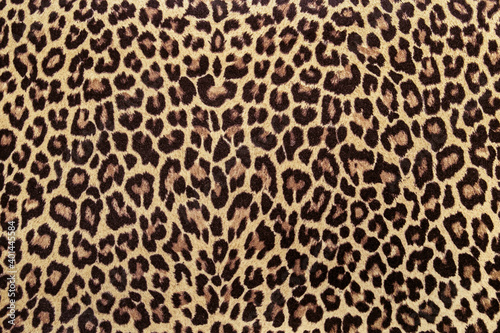 Leopard print fabric pattern  seamless background image.