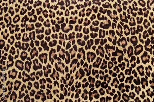 Obraz Leopard print fabric pattern, seamless background image.