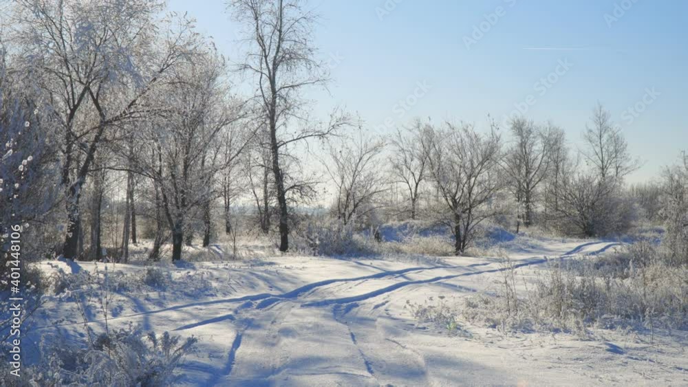 Panorama Snow covered forest country road on a winter sunny day Panorama Snow covered forest country road on a winter sunny day