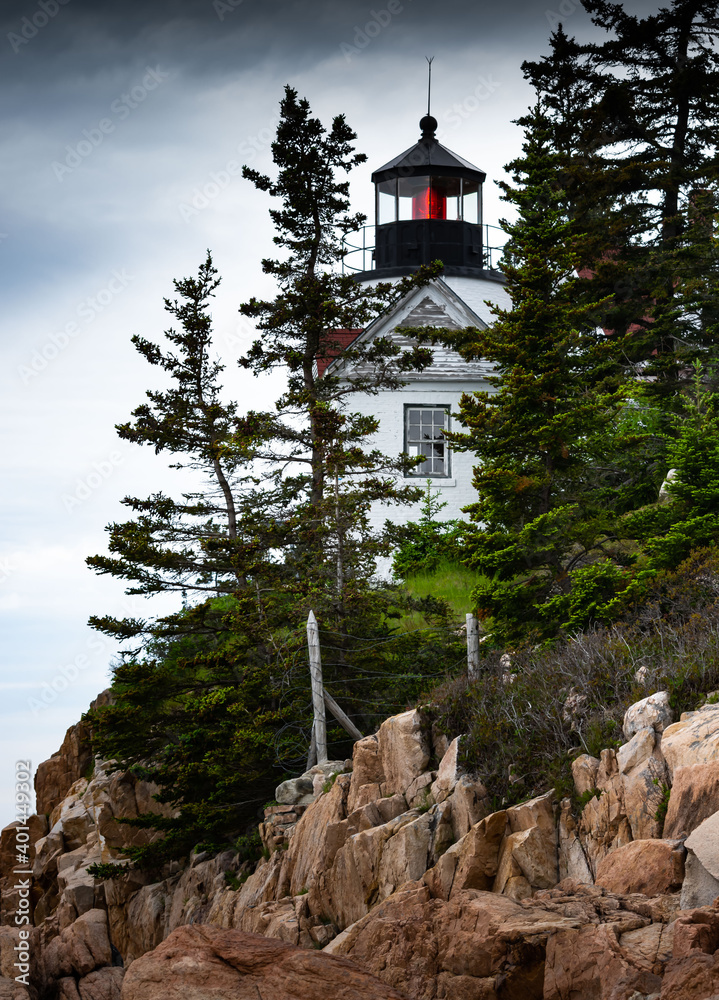 Fototapeta premium Watchful Eye on the Rugged Shore