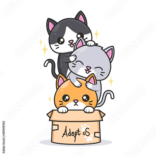 cute cats with different color inside the box