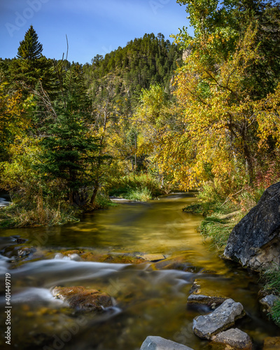 Peace along a creek in the Black Hills