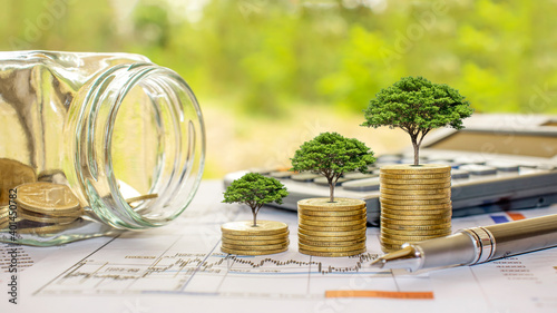 Plant trees on coins and calculators, financial accounting concepts, and save money.