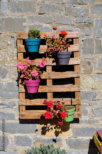 Latticed wooden frame used against the wall to hold multple garden pots with geraniums and other flowers photo