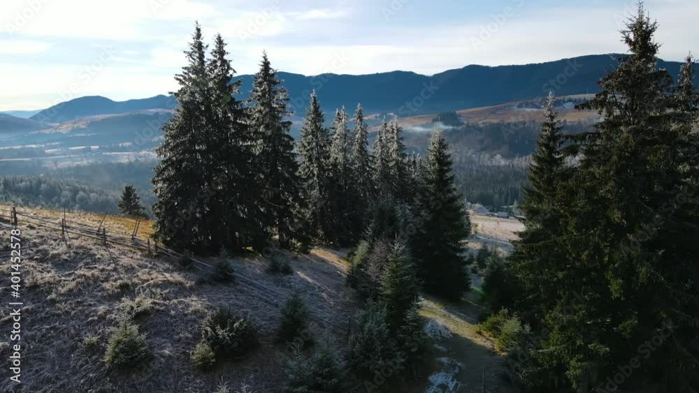 Winter Forest Nature Snow Covered Winter Trees Alpine Landscape Early Morning Sunrise Holiday Travel And Tourism Frosty Tree Tops Vibrant Colors Aerial 4k Winter Forest Nature Snow Covered Winter Trees Alpine Landscape Early Morning Sunrise Holiday Travel And Tourism Frosty Tree Tops Vibrant Colors Aerial 4k