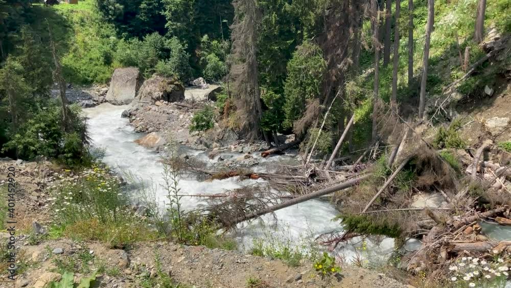 Fast river near green shore. Rapid clean stream flowing on stones near coast with green plants in countryside. Fast river near green shore. Rapid clean stream flowing on stones near coast with green plants in countryside.