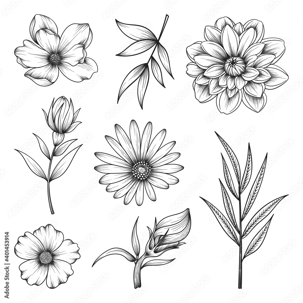 Collection of hand drawn beautiful herbs and wild flowers and leaves isolated on white background. Collection of hand drawn beautiful herbs and wild flowers and leaves isolated on white background.
