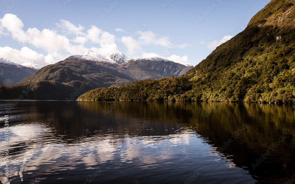 Fototapeta premium lake reflection in Milford Sound, NZ