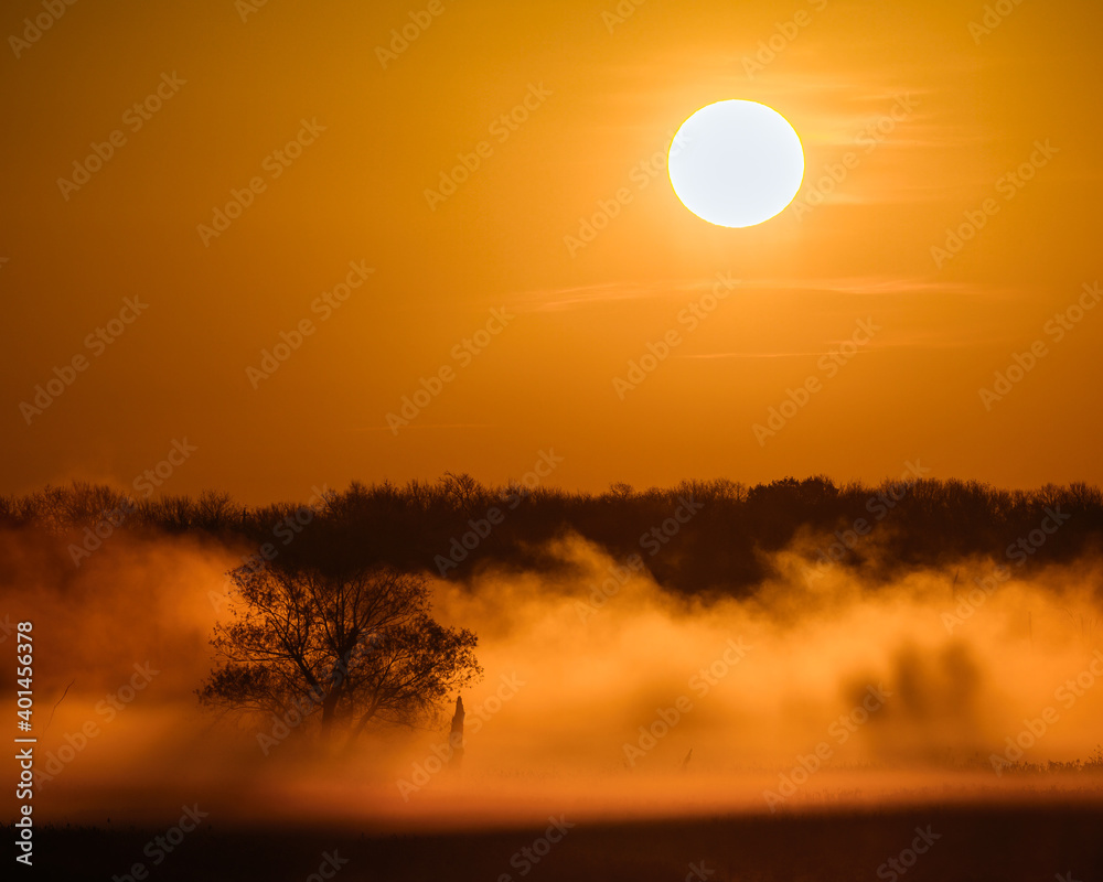 Sunrise in the mist Sunrise in the mist