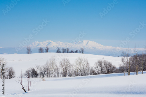 冬の青空と雪山 大雪山 